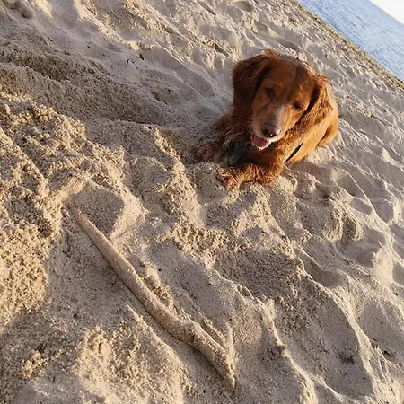 Obok Gdyni * קוזאקובו