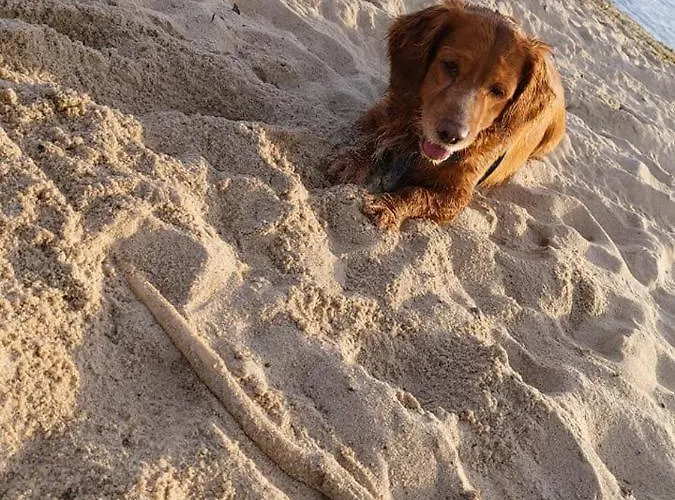 Obok Gdyni * Kosakowo